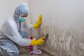 Best Mold Removal for HVAC Installations  in Fort Valley, AZ